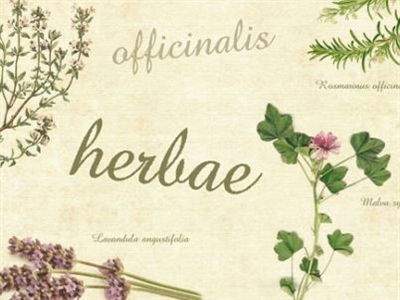 Introduction to Herbal & Natural Remedies for Animals