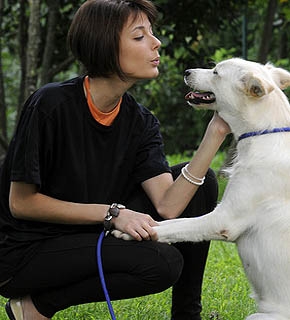 Canine Behaviour and Training - Diploma